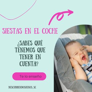 Siestas en el coche